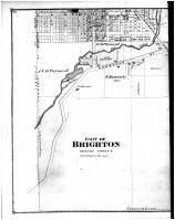 Brighton 2 - Left, Livingston County 1875